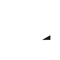 Wei's Portfolio